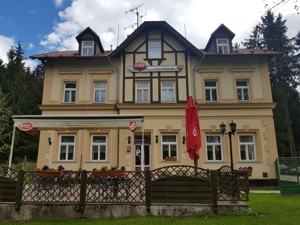 Pension Villa Berolina マリアーンスケー・ラーズニェ エクステリア 写真