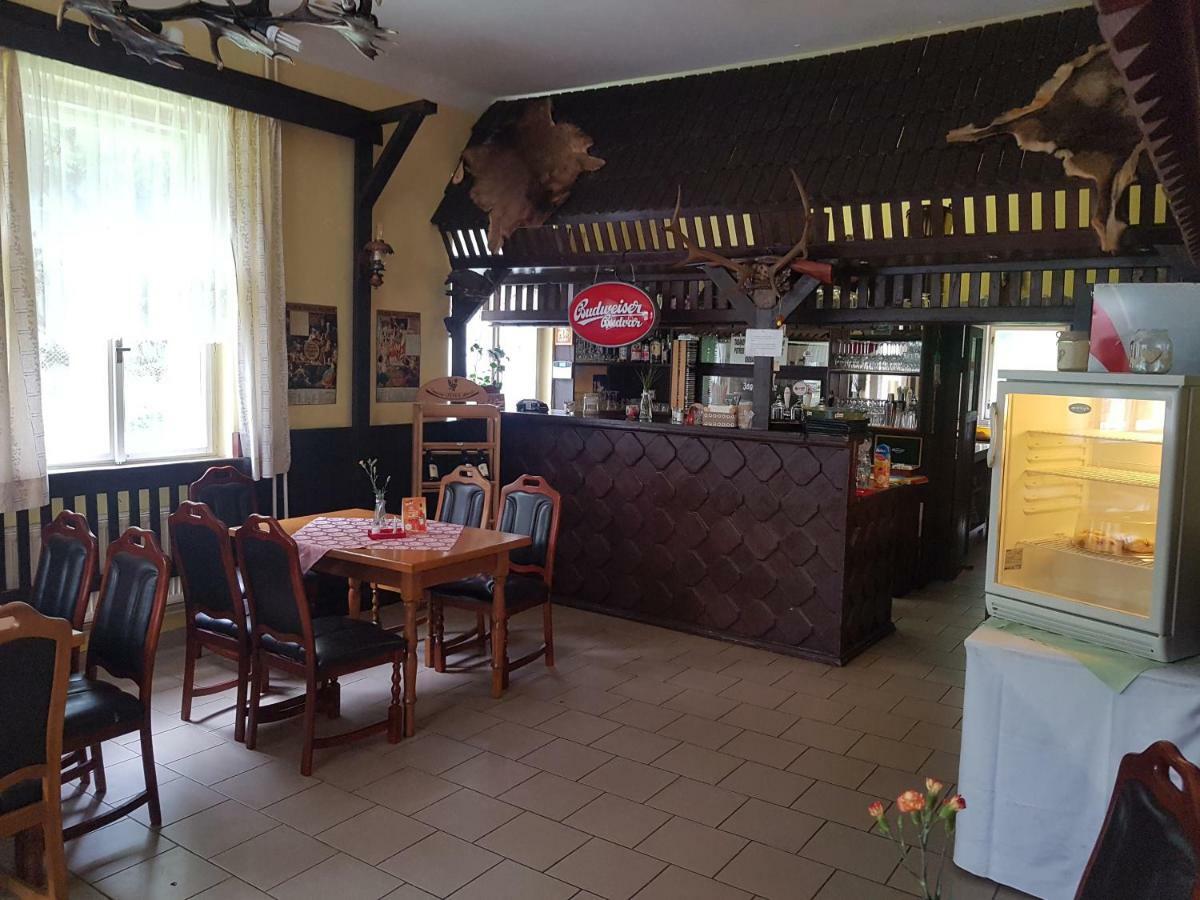 Pension Villa Berolina マリアーンスケー・ラーズニェ エクステリア 写真
